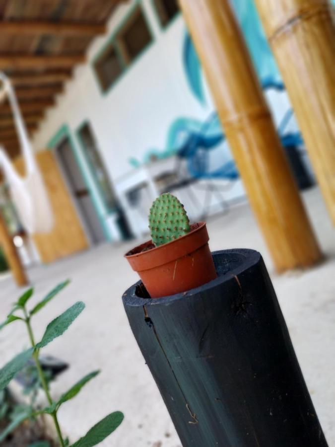Flor De Bambu Appartement Uvita Buitenkant foto